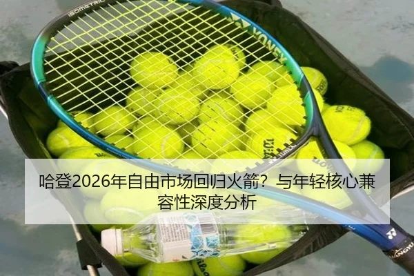 ha-deng-nian-zi-you-shi-chang-hui-gui-huo-jian-yu-nian-qing-he-xin-jian-rong-xing-shen-du-fen-xi-2-399.jpg